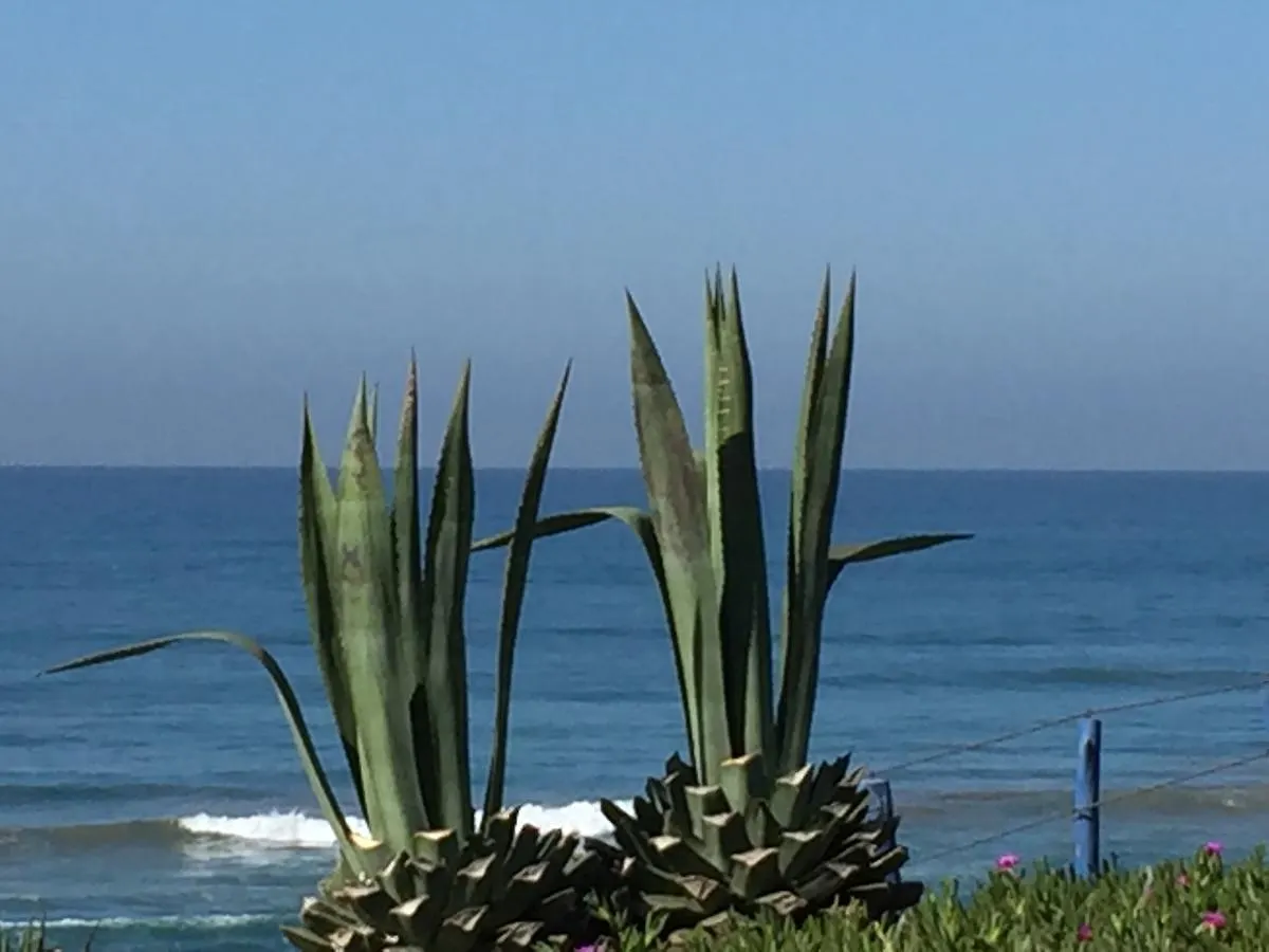 Banana Beach Villa Agadir 0*,  Marokko